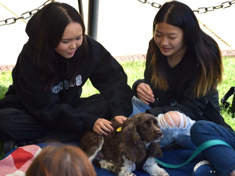 两个学生抚摸一只治疗犬